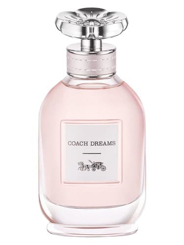 Coach Coach Dreams